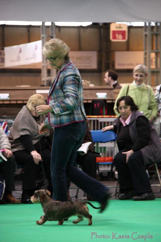 Crufts2011_2 1051.jpg